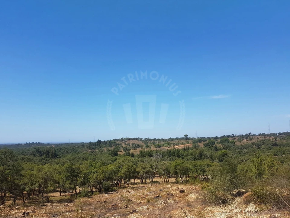 Terreno para Venda em Santiago do Cacém, Santa Cruz e São Bartolomeu da Serra Foto 20