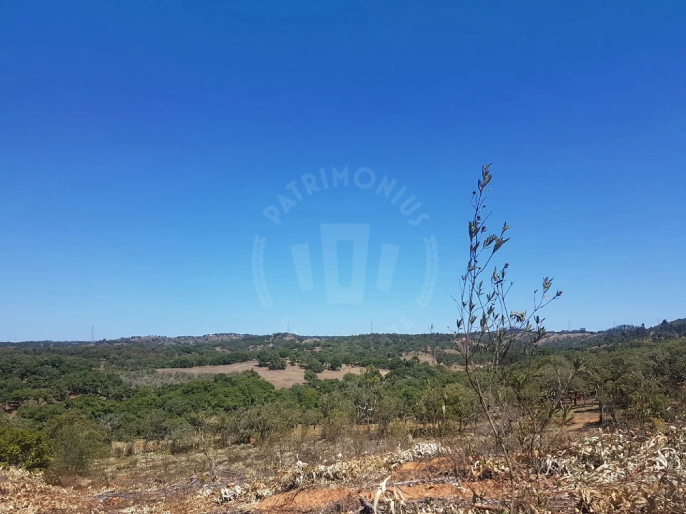 Terreno para Venda em Santiago do Cacém, Santa Cruz e São Bartolomeu da Serra Foto 23