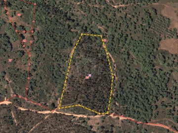 Terreno para Venda em Santiago do Cacém, Santa Cruz e São Bartolomeu da Serra
