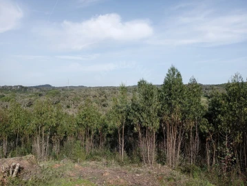 Terreno para Venda em Santiago do Cacém, Santa Cruz e São Bartolomeu da Serra