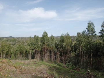 Terreno para Venda em Santiago do Cacém, Santa Cruz e São Bartolomeu da Serra