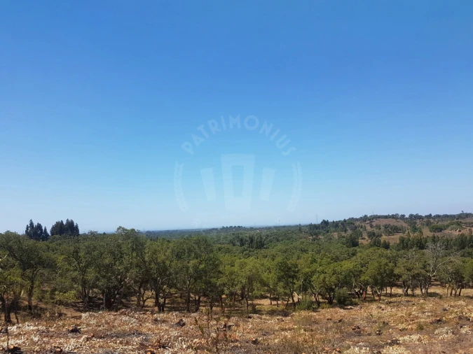 Terreno para Venda em Santiago do Cacém, Santa Cruz e São Bartolomeu da Serra Foto 24