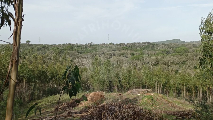 Terreno para Venda em Santiago do Cacém, Santa Cruz e São Bartolomeu da Serra