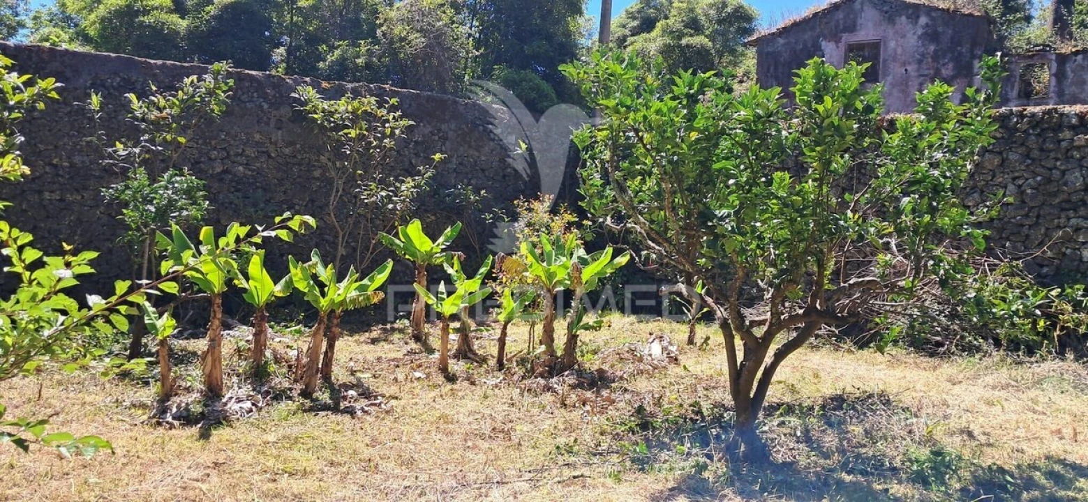 Terreno para Venda em São Mateus Foto 4