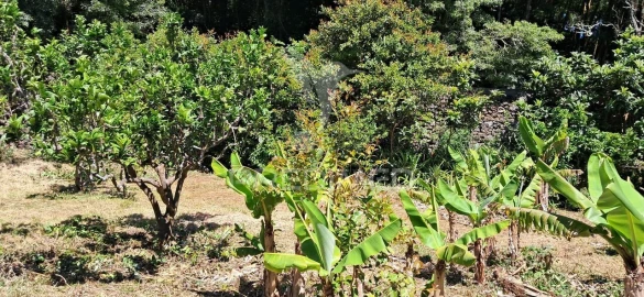 Terreno para Venda em São Mateus