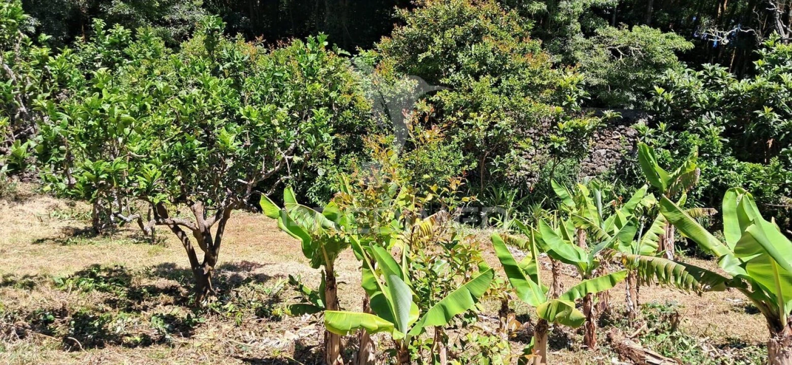 Terreno para Venda em São Mateus Foto 8