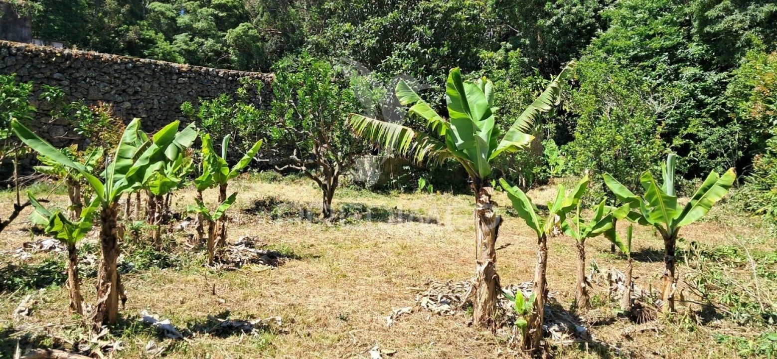 Terreno para Venda em São Mateus Foto 5