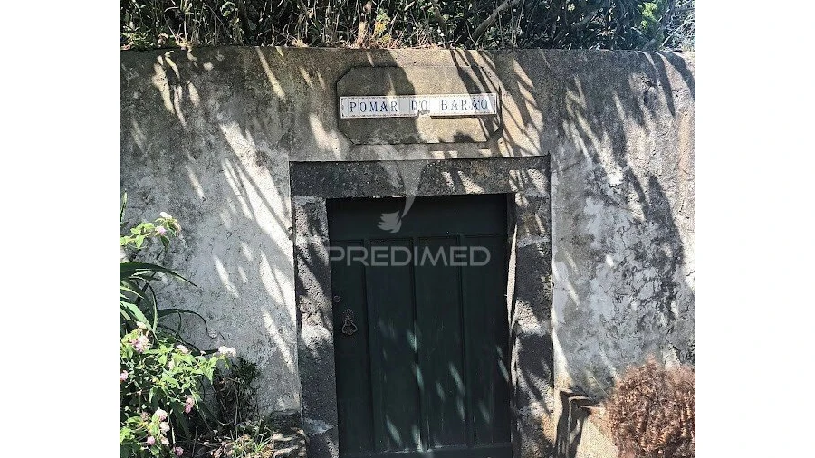Terreno para Venda em São Mateus