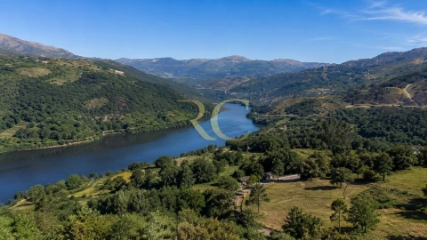 Terreno para Venda em Entre Ambos-Os-Rios, Ermida e Germil