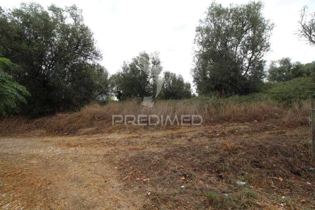 Terreno para Venda em Brogueira, Parceiros de Igreja e Alcorochel Foto 12