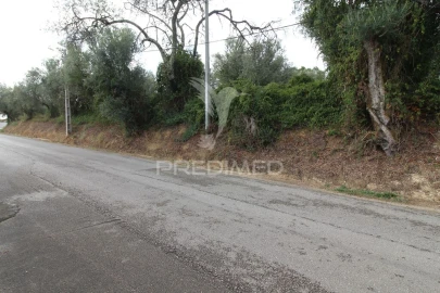 Terreno para Venda em Brogueira, Parceiros de Igreja e Alcorochel