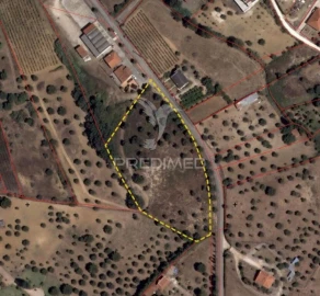 Terreno para Venda em Brogueira, Parceiros de Igreja e Alcorochel