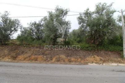 Terreno para Venda em Brogueira, Parceiros de Igreja e Alcorochel