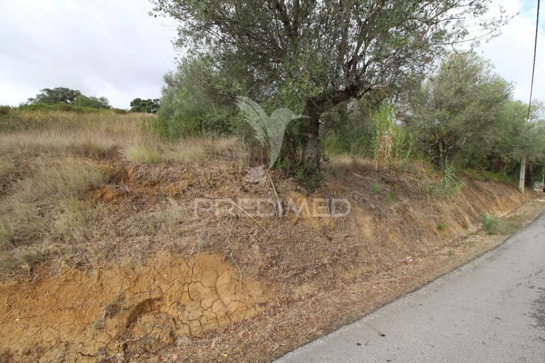 Terreno para Venda em Brogueira, Parceiros de Igreja e Alcorochel Foto 10