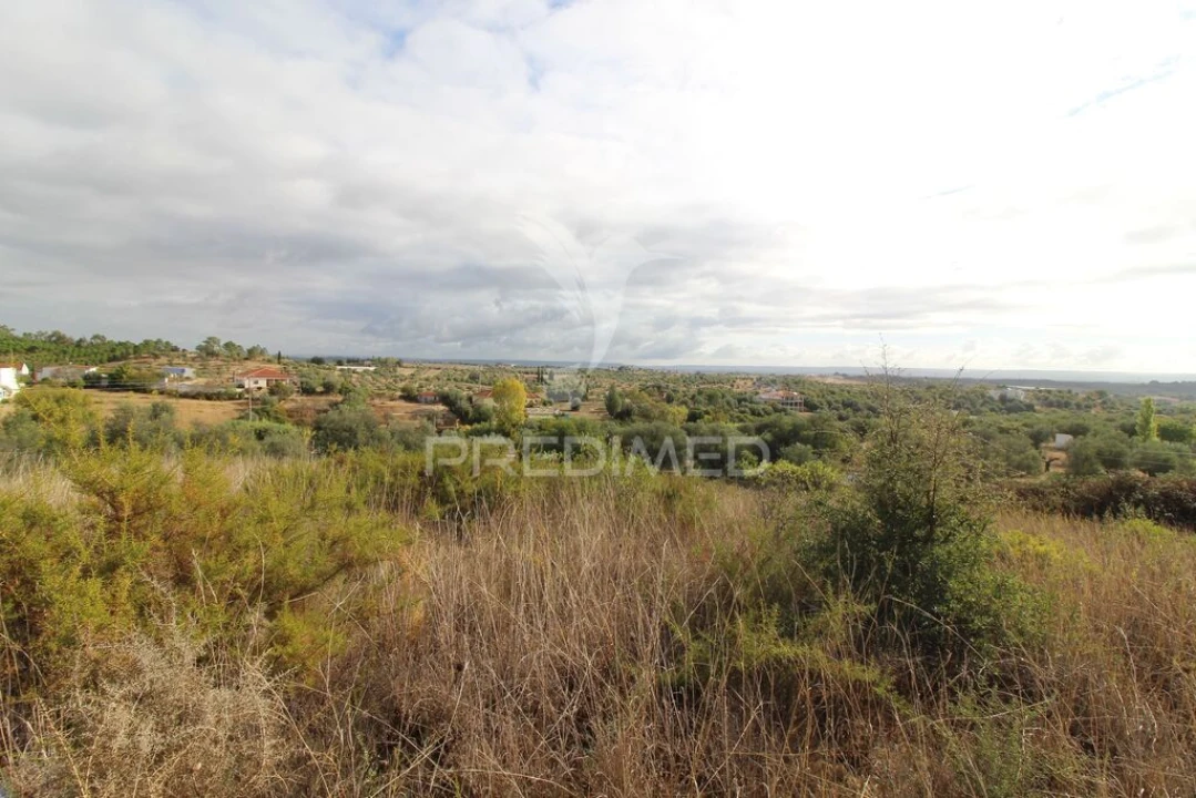 Terreno para Venda em Brogueira, Parceiros de Igreja e Alcorochel Foto 6