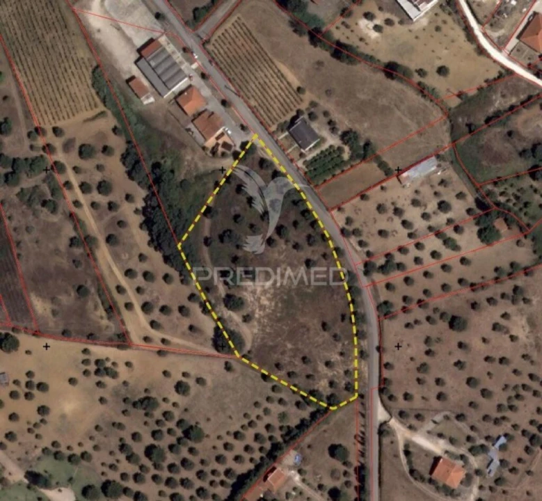 Terreno para Venda em Brogueira, Parceiros de Igreja e Alcorochel Foto 13