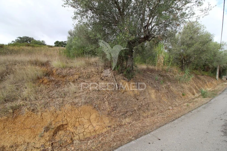 Terreno para Venda em Brogueira, Parceiros de Igreja e Alcorochel Foto 10