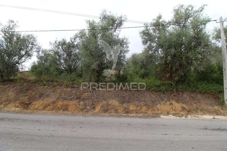 Terreno para Venda em Brogueira, Parceiros de Igreja e Alcorochel Foto 8