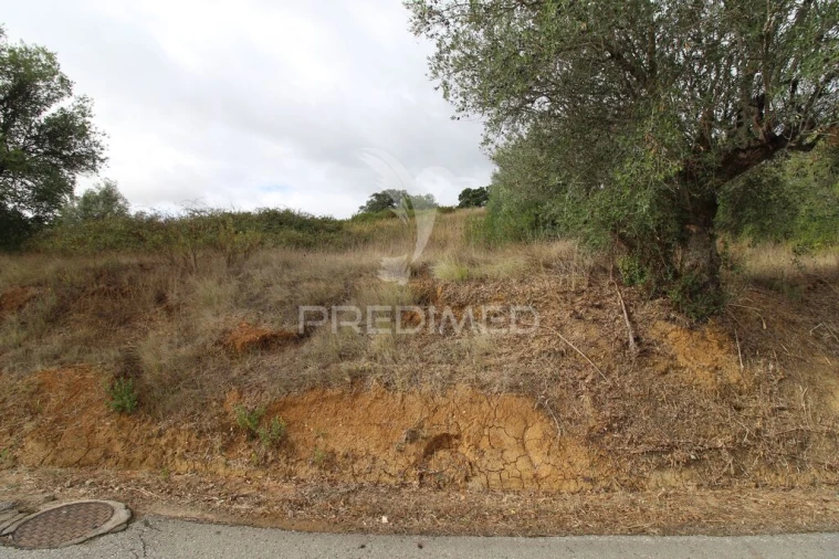 Terreno para Venda em Brogueira, Parceiros de Igreja e Alcorochel Foto 9