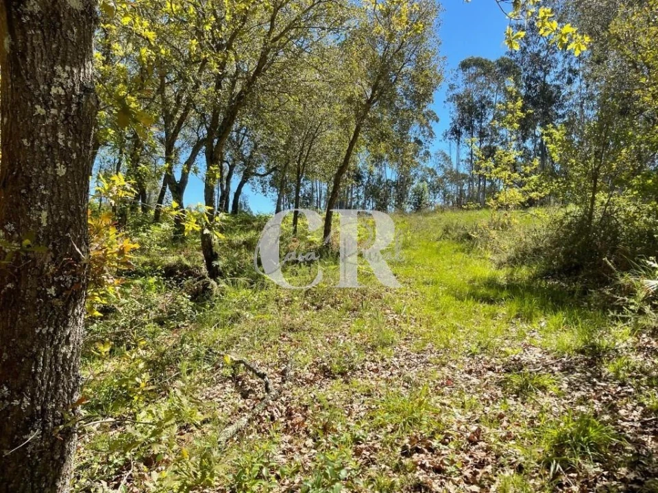 Quinta T2 para Venda em Foz de Arouce e Casal de Ermio Foto 55