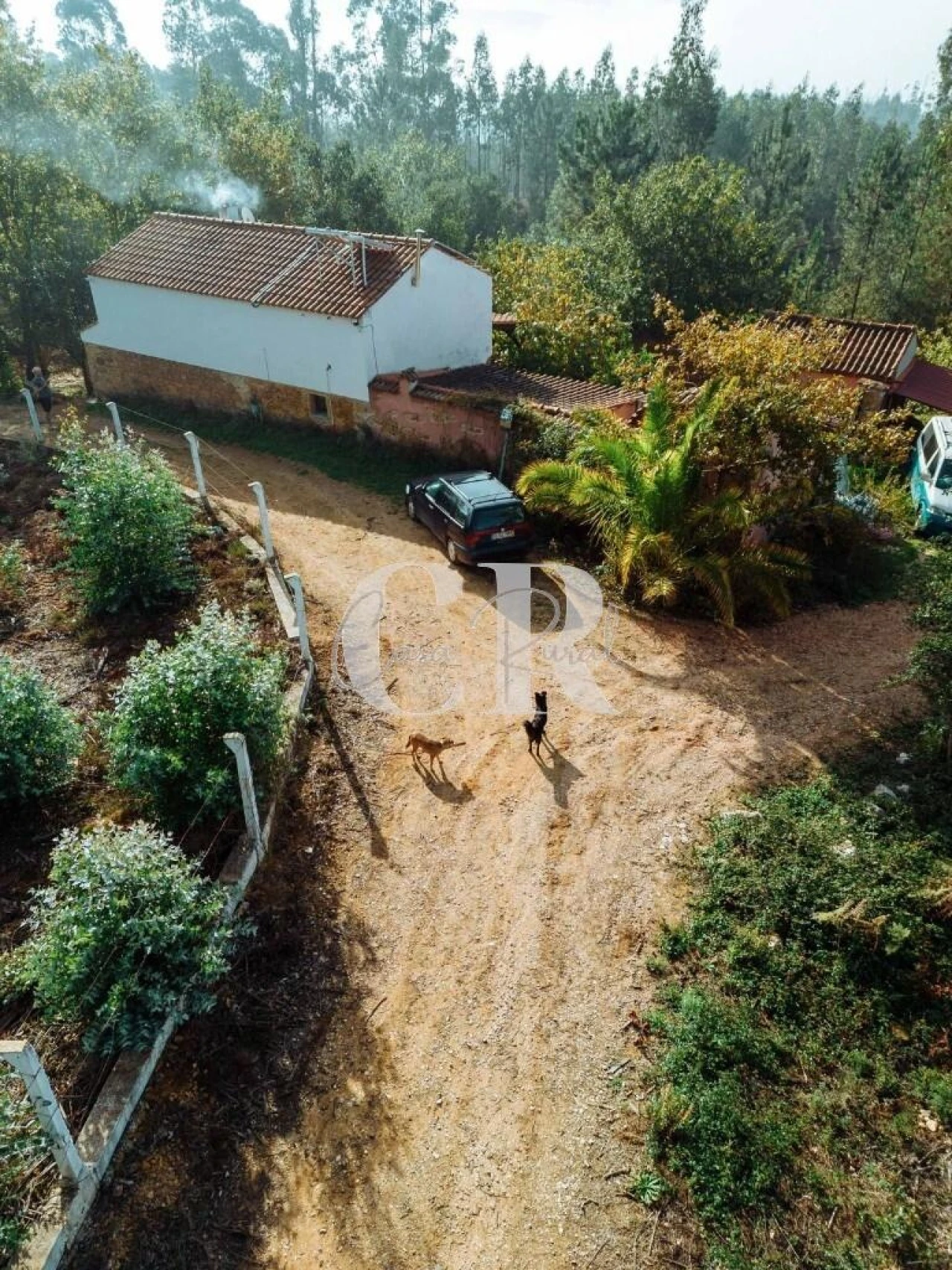 Quinta T2 para Venda em Foz de Arouce e Casal de Ermio Foto 6