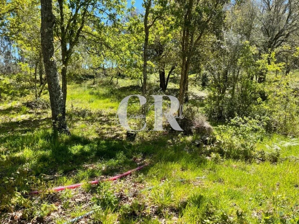 Quinta T2 para Venda em Foz de Arouce e Casal de Ermio Foto 56