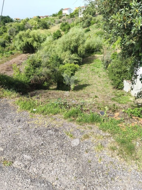 Terreno para Venda em Almalagues