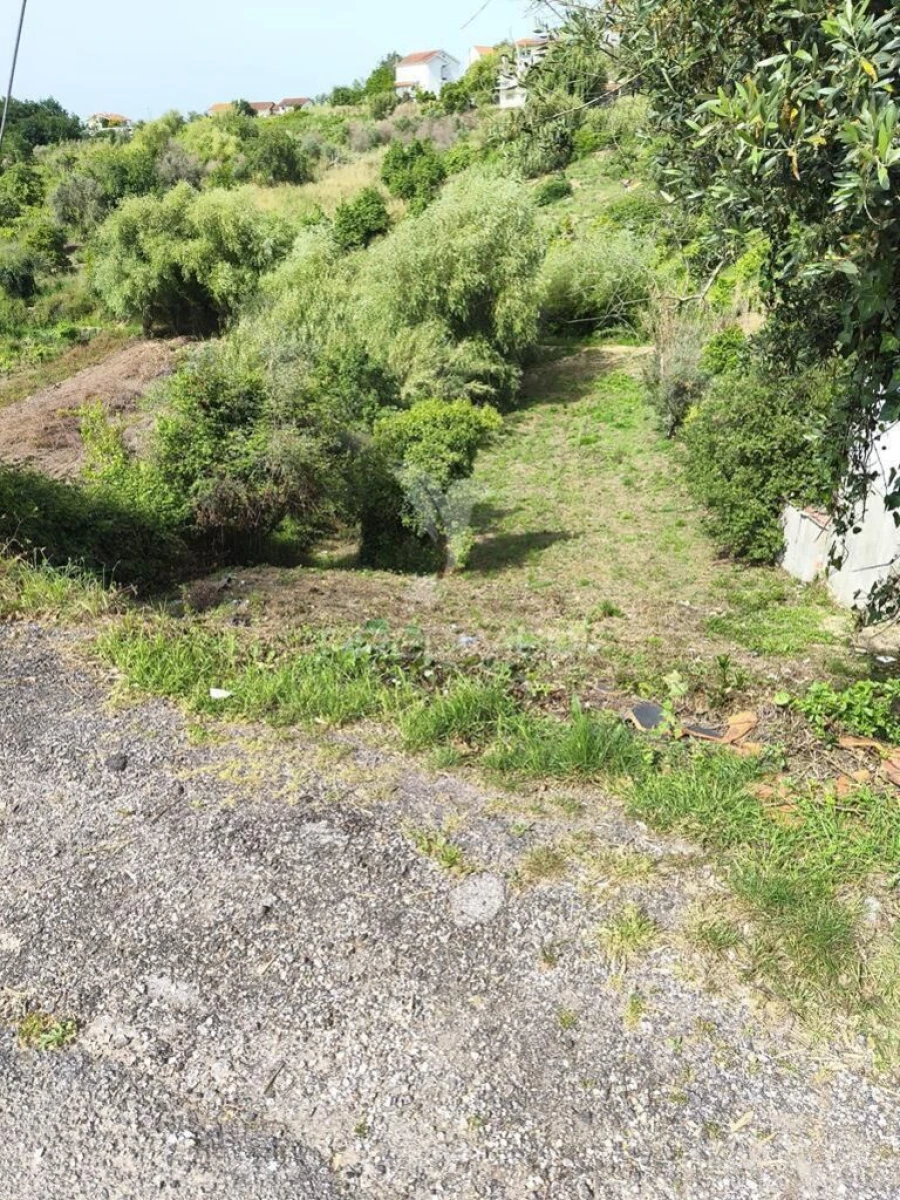 Terreno para Venda em Almalagues Foto 2