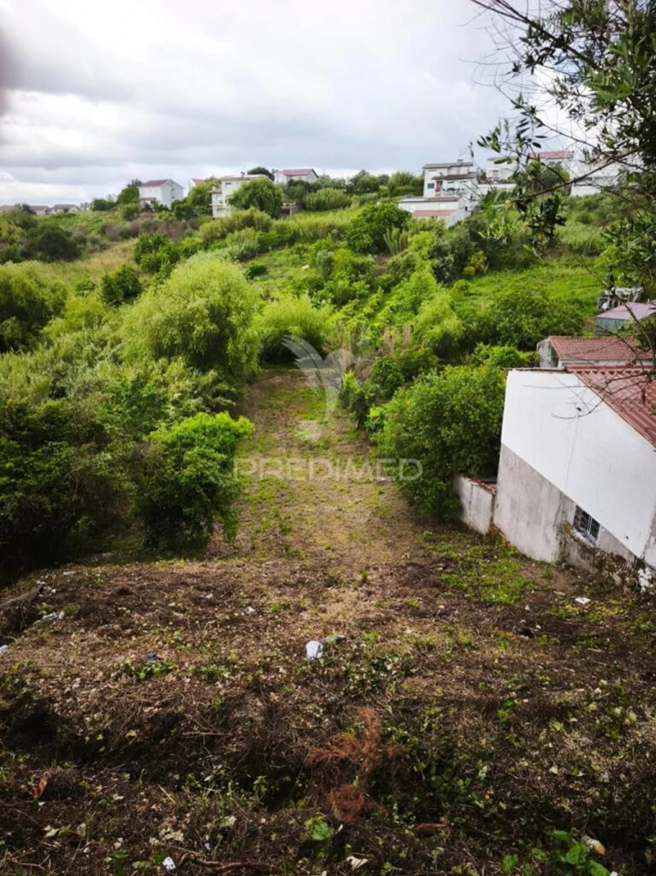 Terreno para Venda em Almalagues Foto 3
