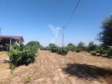 Quinta para Venda em Espírito Santo, Nossa Senhora da Graça e São Simão