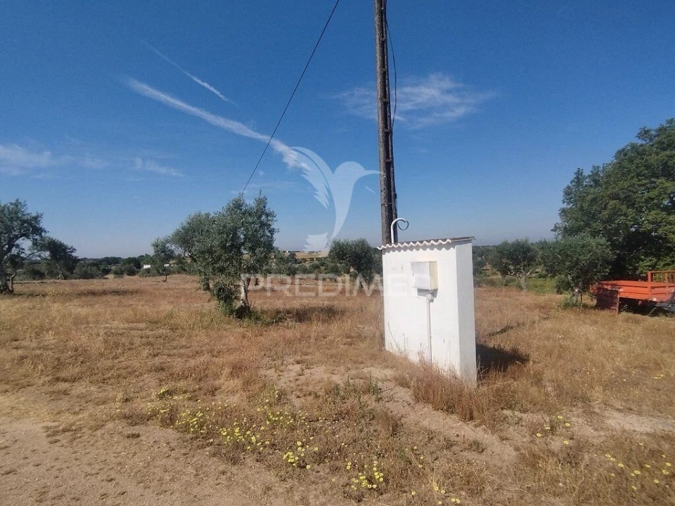 Quinta para Venda em Espírito Santo, Nossa Senhora da Graça e São Simão Foto 7