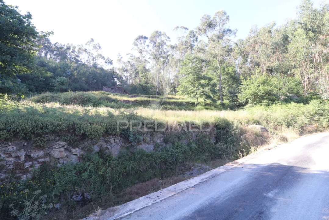 Terreno para Venda em Pico de Regalados, Gondiães e Mós Foto 20