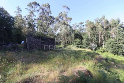 Terreno para Venda em Pico de Regalados, Gondiães e Mós