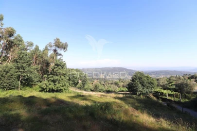 Terreno para Venda em Pico de Regalados, Gondiães e Mós