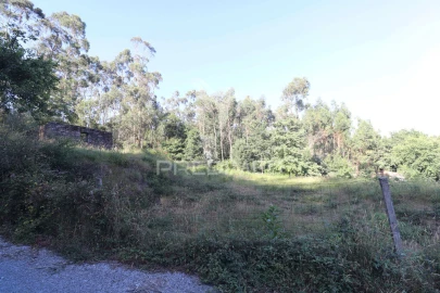Terreno para Venda em Pico de Regalados, Gondiães e Mós