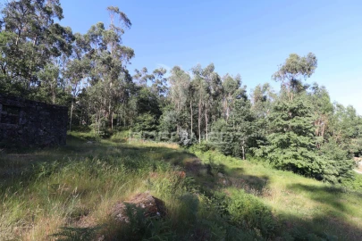 Terreno para Venda em Pico de Regalados, Gondiães e Mós