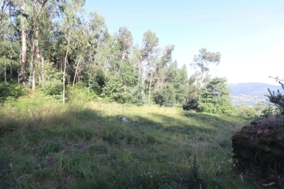 Terreno para Venda em Pico de Regalados, Gondiães e Mós