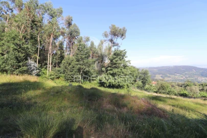 Terreno para Venda em Pico de Regalados, Gondiães e Mós