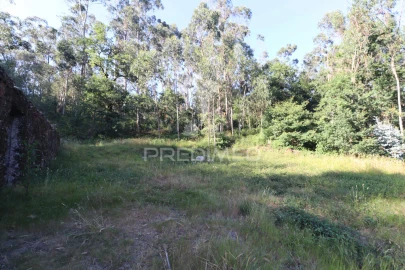 Terreno para Venda em Pico de Regalados, Gondiães e Mós