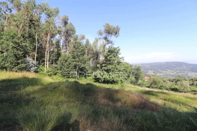 Terreno para Venda em Pico de Regalados, Gondiães e Mós