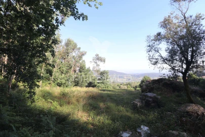 Terreno para Venda em Pico de Regalados, Gondiães e Mós