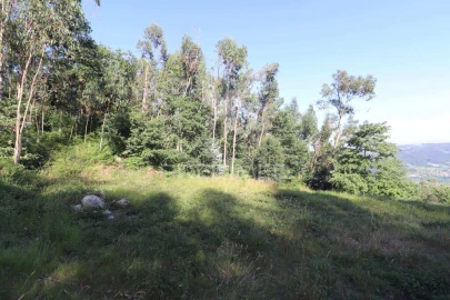 Terreno para Venda em Pico de Regalados, Gondiães e Mós