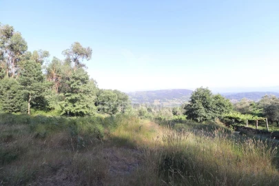 Terreno para Venda em Pico de Regalados, Gondiães e Mós