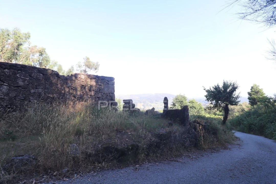 Terreno para Venda em Pico de Regalados, Gondiães e Mós Foto 2