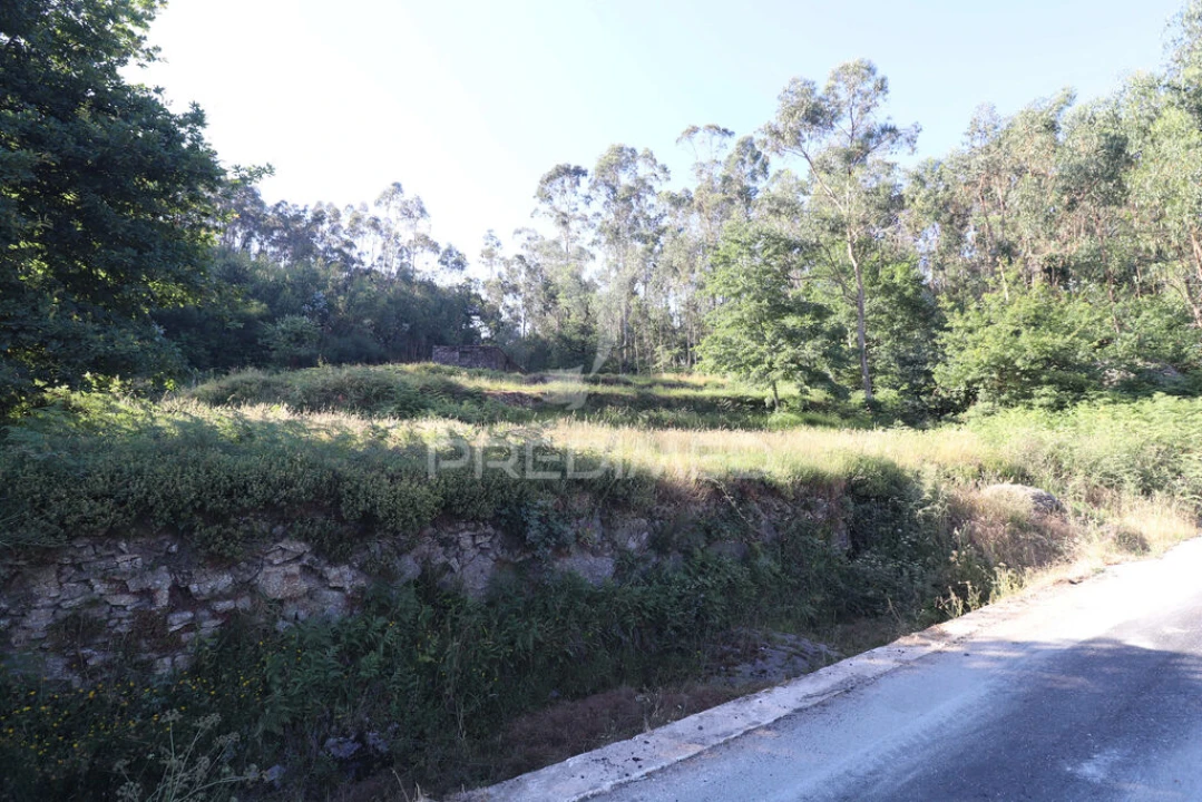 Terreno para Venda em Pico de Regalados, Gondiães e Mós Foto 19