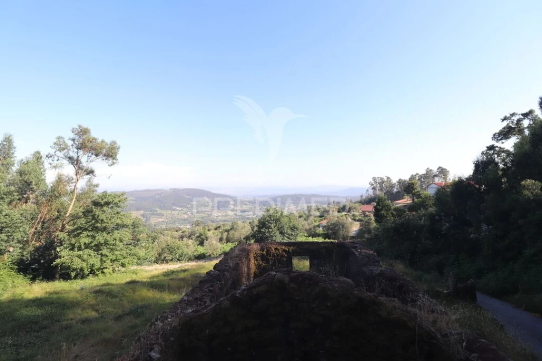 Terreno para Venda em Pico de Regalados, Gondiães e Mós Foto 5
