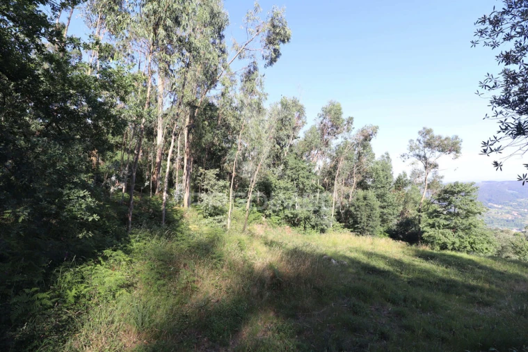 Terreno para Venda em Pico de Regalados, Gondiães e Mós Foto 12