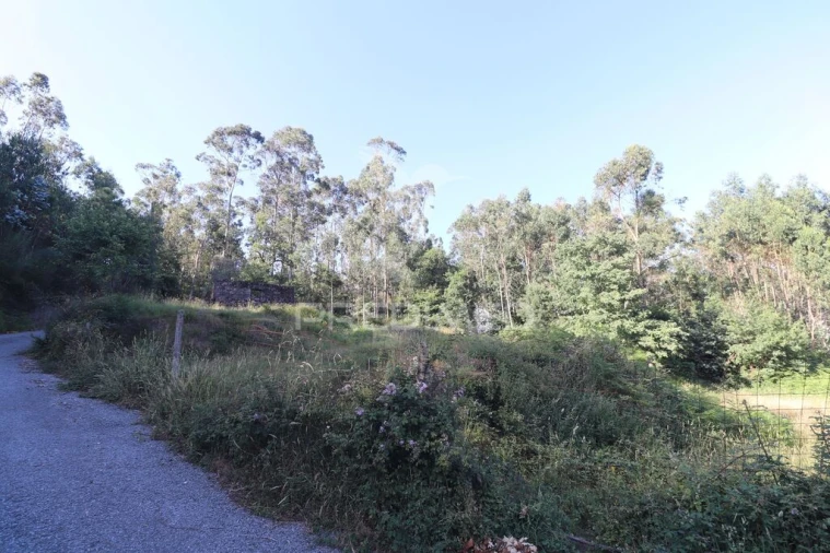 Terreno para Venda em Pico de Regalados, Gondiães e Mós Foto 18