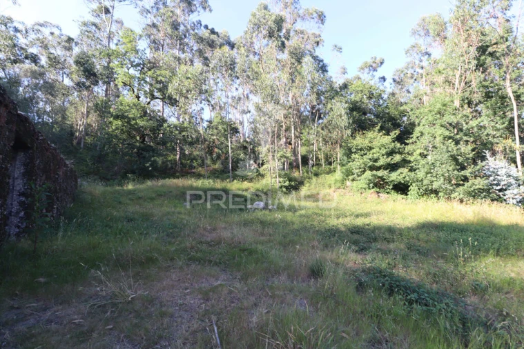 Terreno para Venda em Pico de Regalados, Gondiães e Mós Foto 15