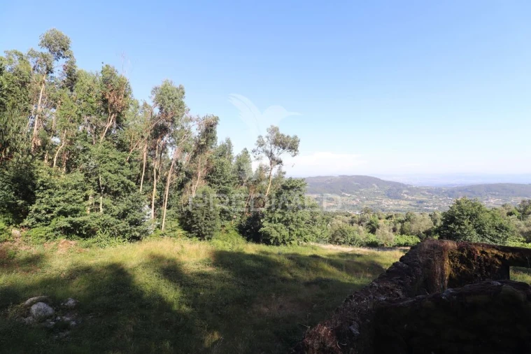 Terreno para Venda em Pico de Regalados, Gondiães e Mós Foto 7